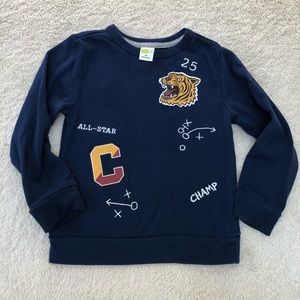 Crazy 8 boys Crewneck sweatshirt size 4T